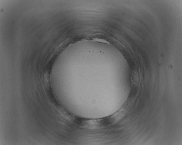 X0000073410184200608251534