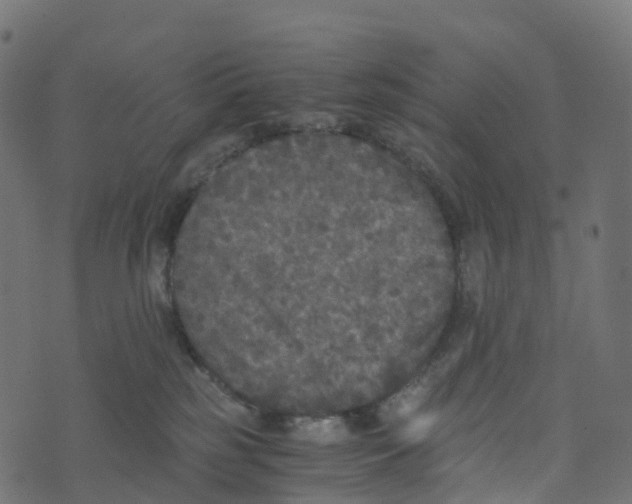 X0000073410185200608251534