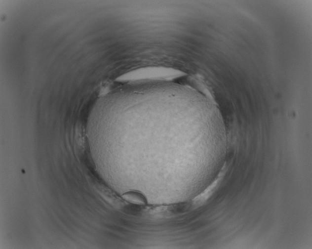 X0000073410186200608251534