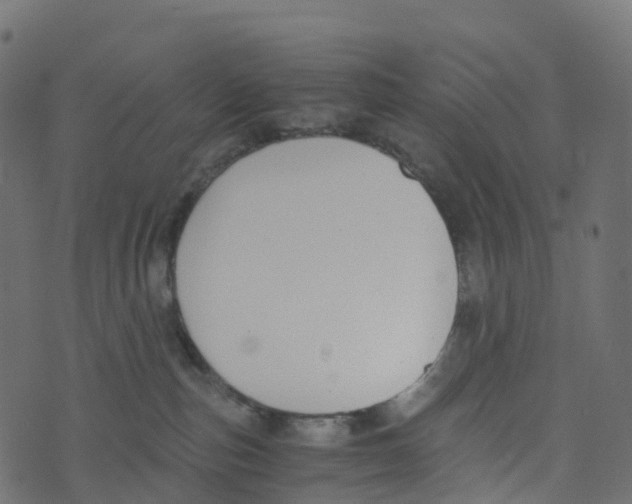 X0000073410187200608251534