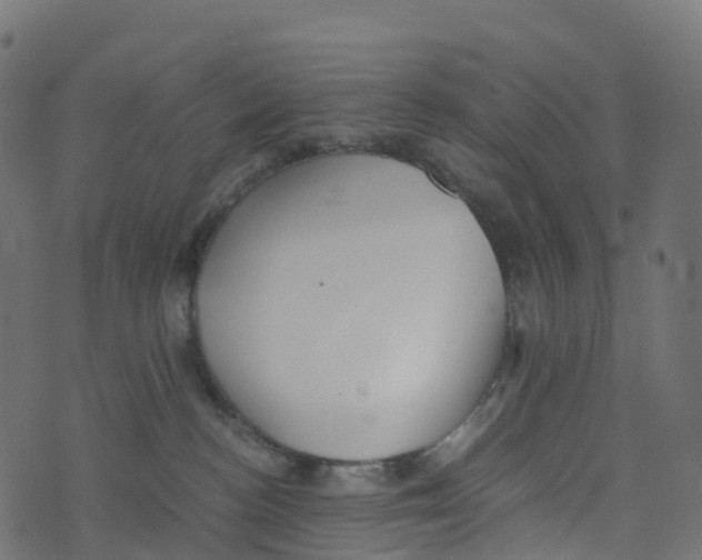 X0000073410188200608251534