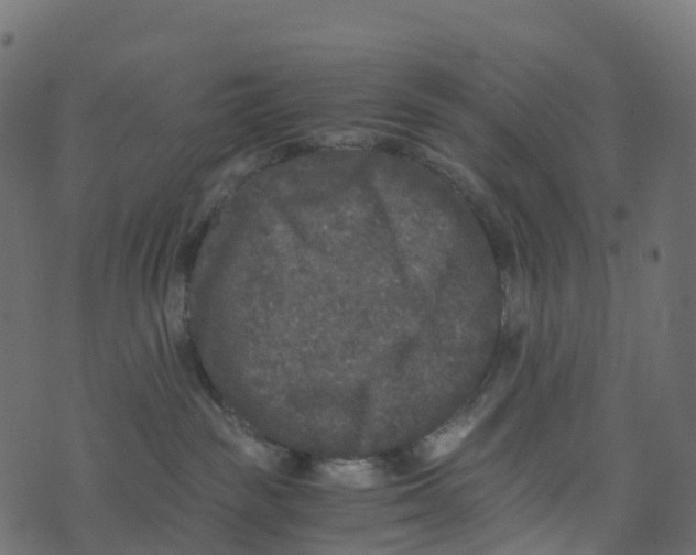 X0000073410189200608251534