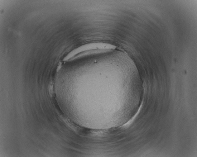 X0000073410190200608251534