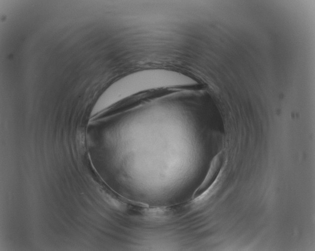 X0000073410192200608251534