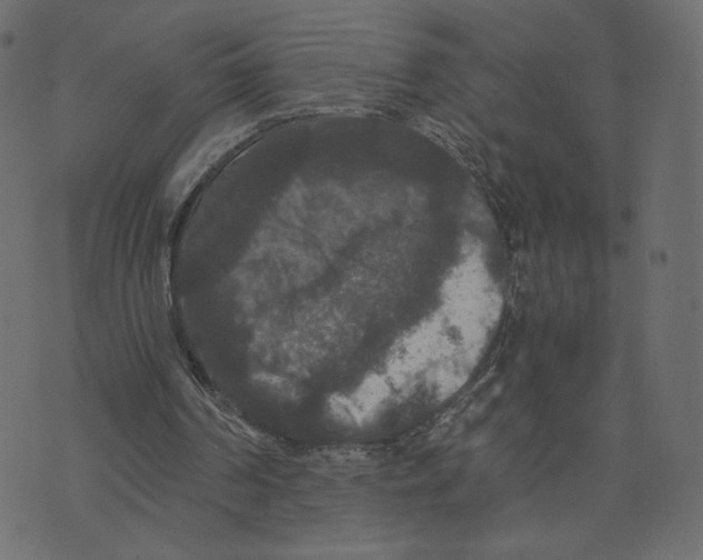 X0000073410194200608251533