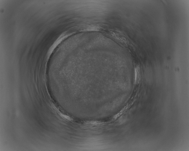 X0000073410195200608251533