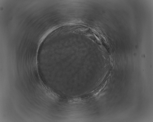 X0000073410196200608251533