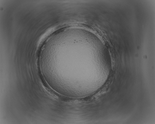 X0000073410197200608251533