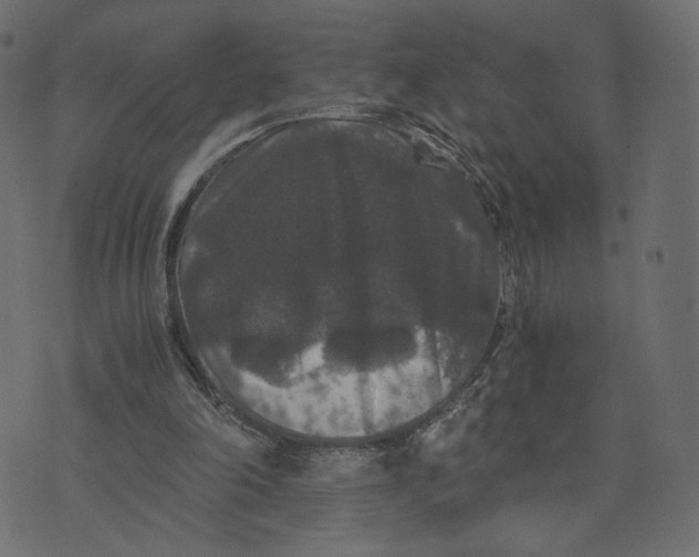 X0000073410198200608251533