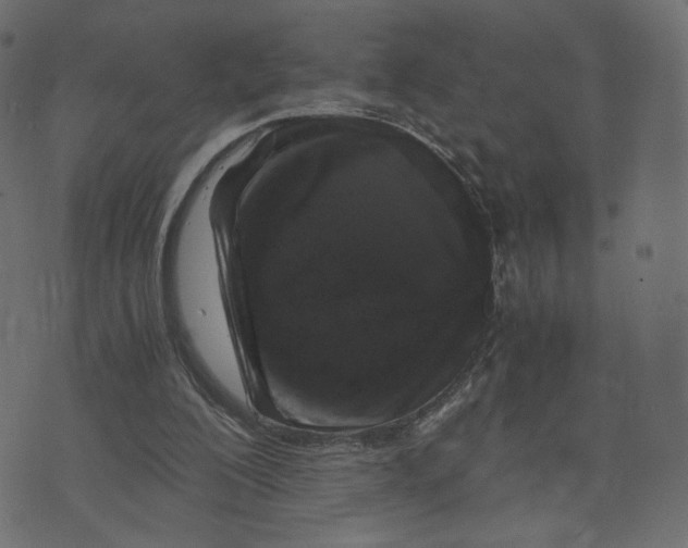 X0000073410200200608251533