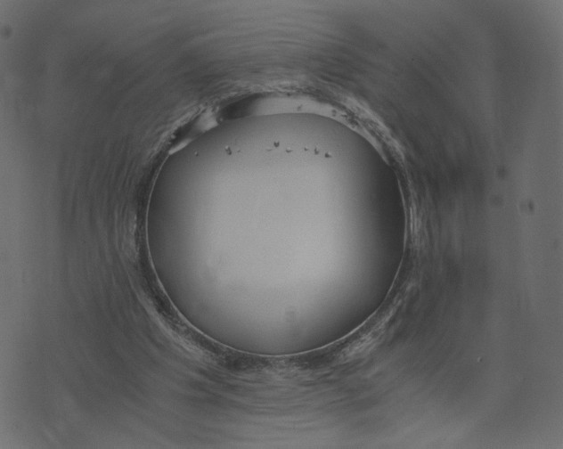 X0000073410201200608251533