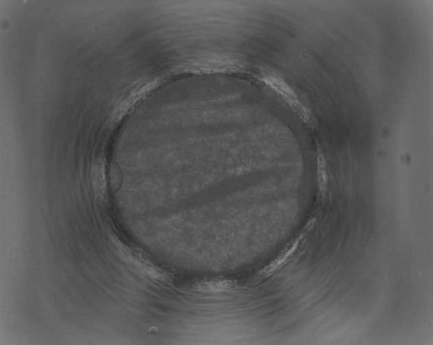 X0000073410202200608251533