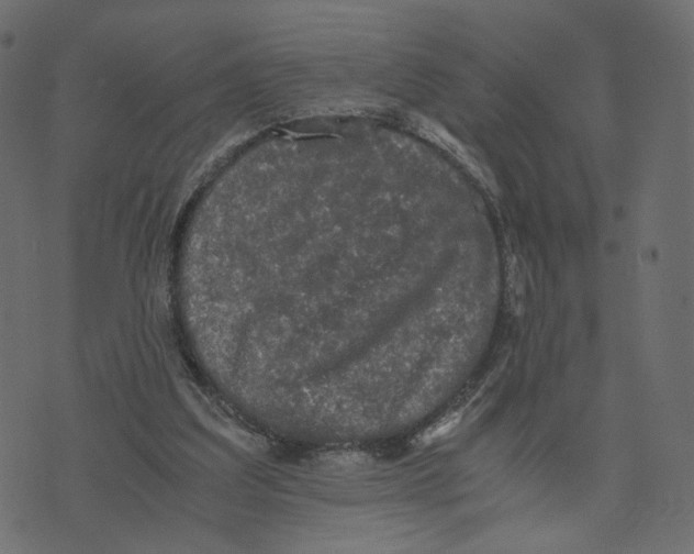 X0000073410203200608251533