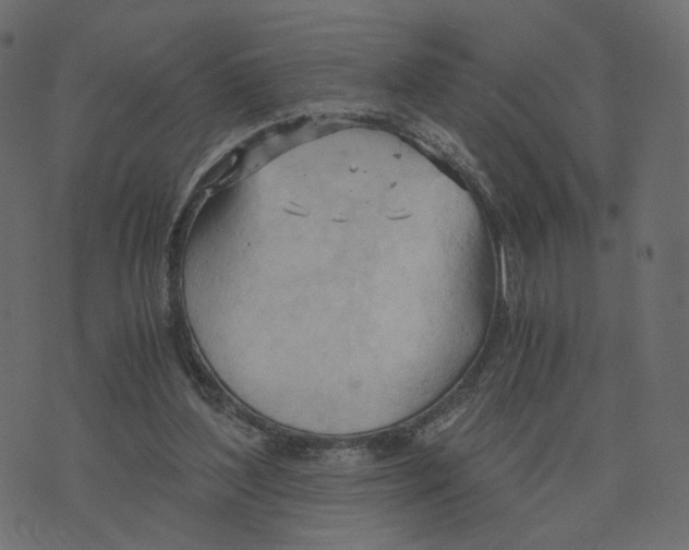 X0000073410204200608251533