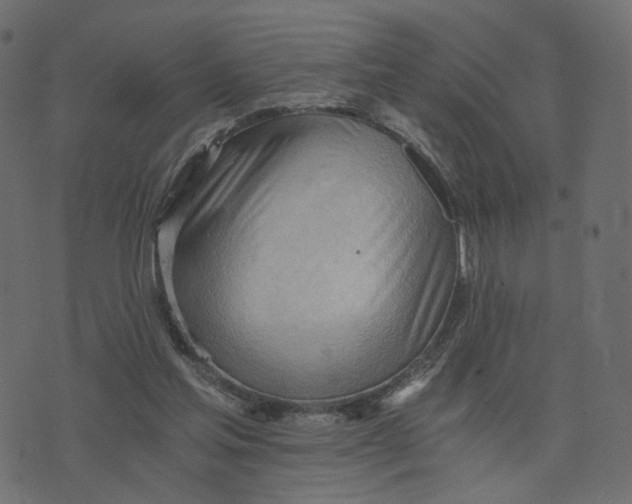 X0000073410205200608251533