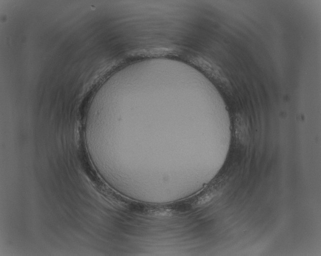 X0000073410206200608251533