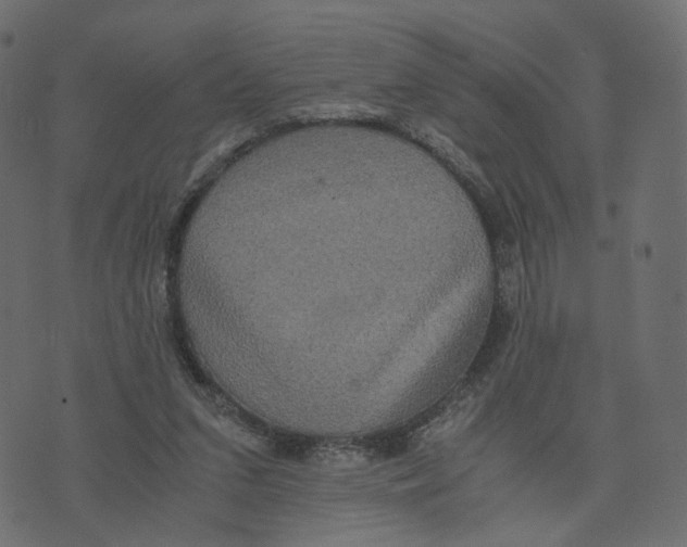 X0000073410207200608251533