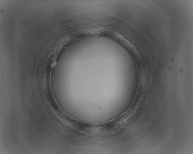 X0000073410209200608251533