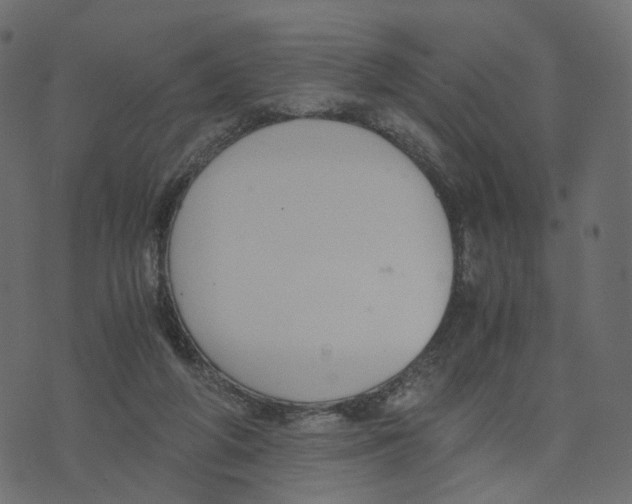 X0000073410210200608251533