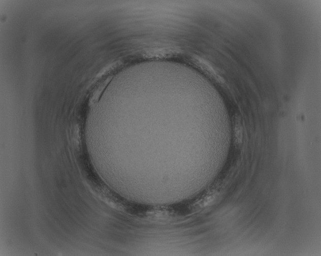 X0000073410211200608251533