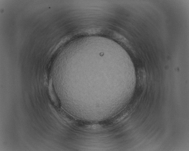 X0000073410212200608251533