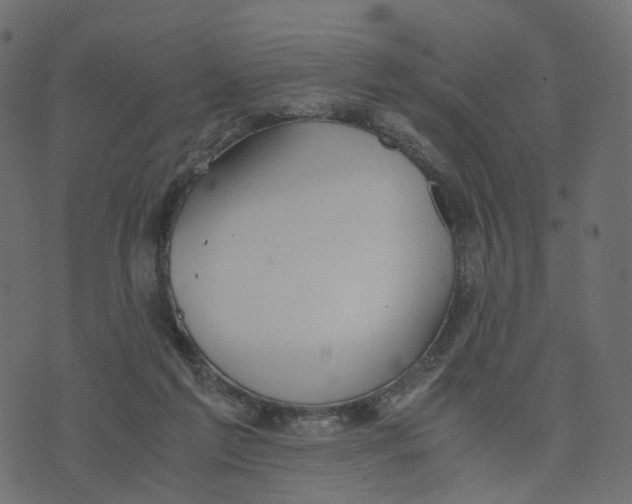 X0000073410213200608251533