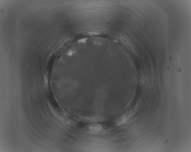 X0000073410214200608251533