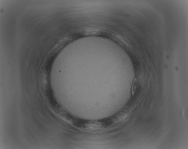 X0000073410215200608251533