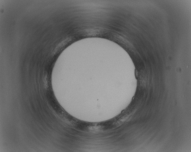 X0000073410216200608251533