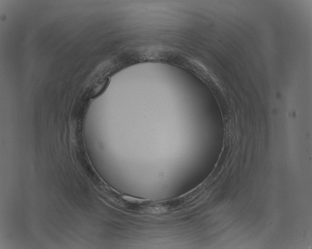 X0000073410217200608251533