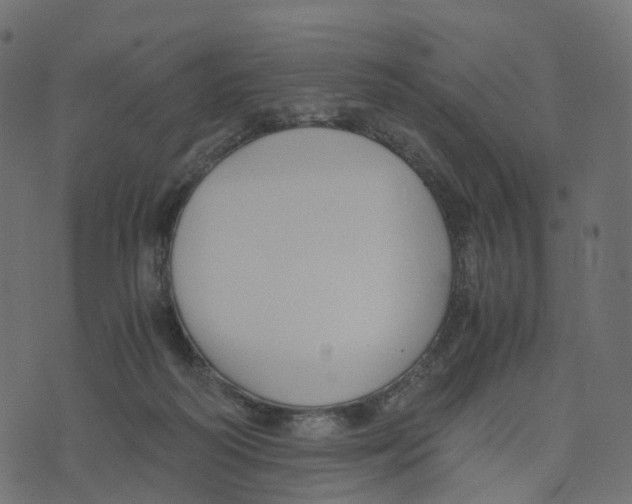 X0000073410218200608251533