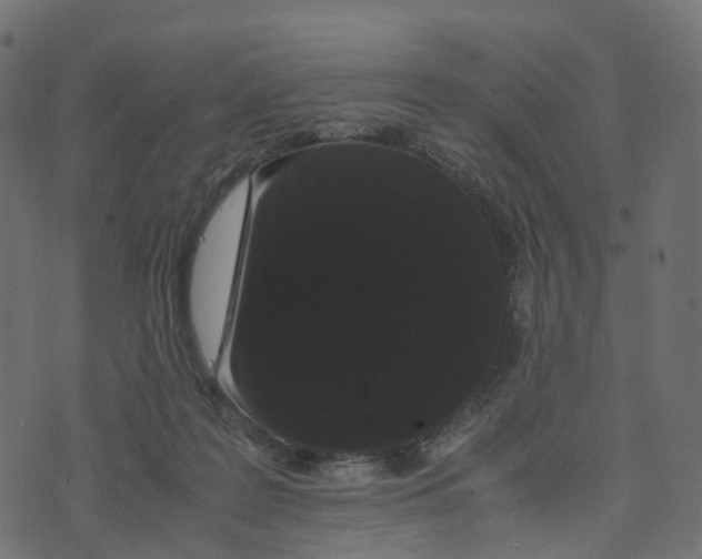 X0000073410219200608251533