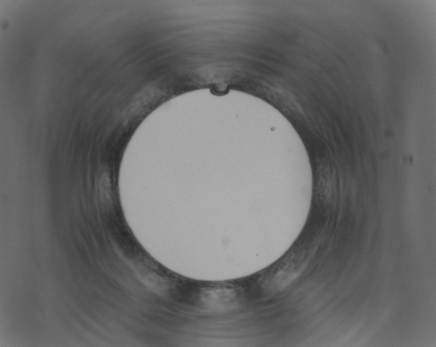 X0000073410220200608251533