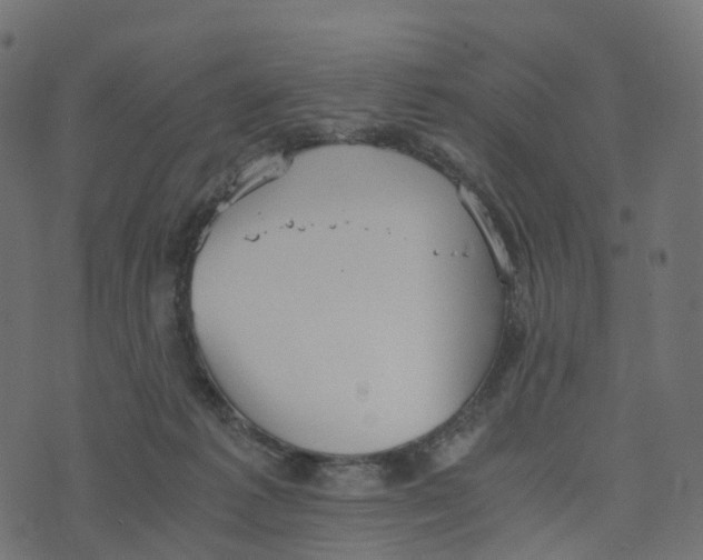 X0000073410221200608251533