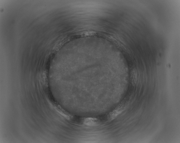 X0000073410222200608251533