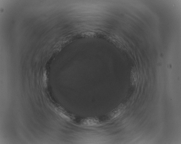 X0000073410223200608251533