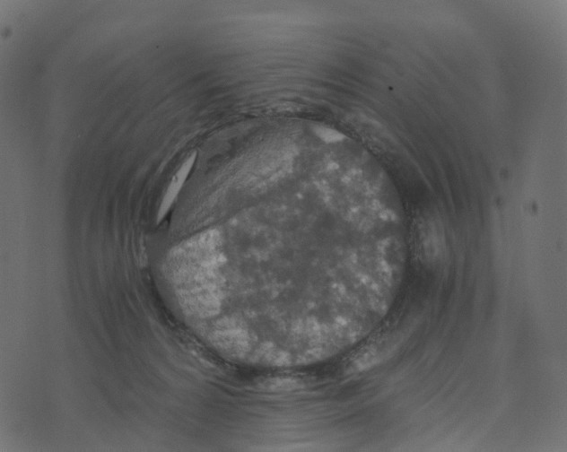 X0000073410224200608251533