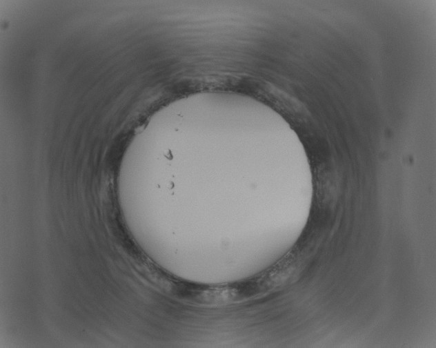 X0000073410225200608251533