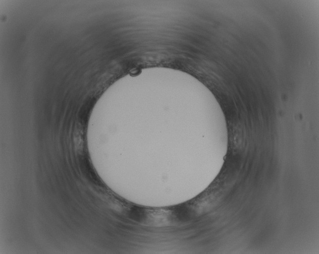 X0000073410226200608251533