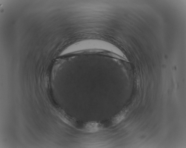 X0000073410227200608251533