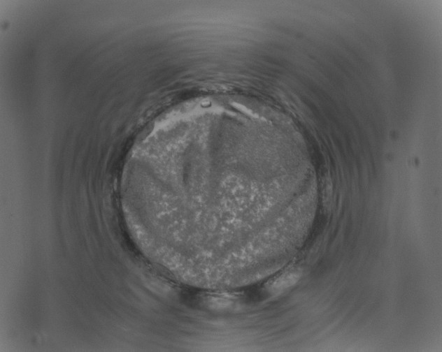 X0000073410229200608251533