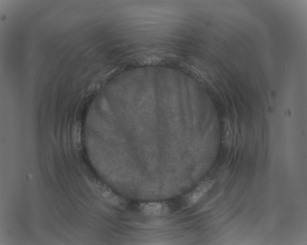 X0000073410230200608251533