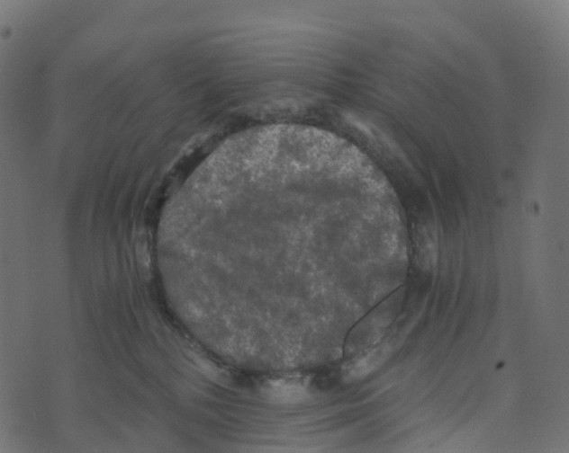 X0000073410232200608251533