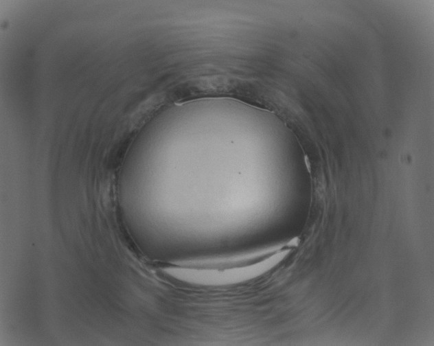 X0000073410233200608251533