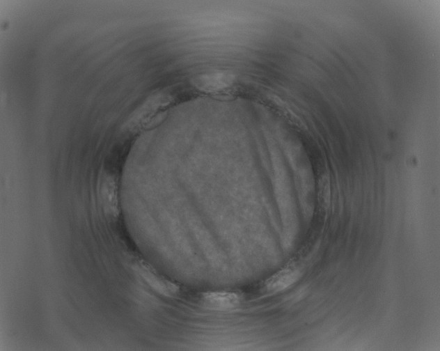 X0000073410234200608251533