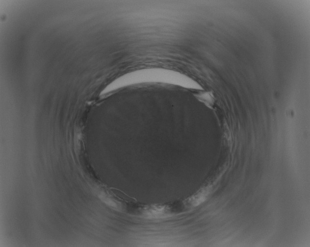 X0000073410235200608251533