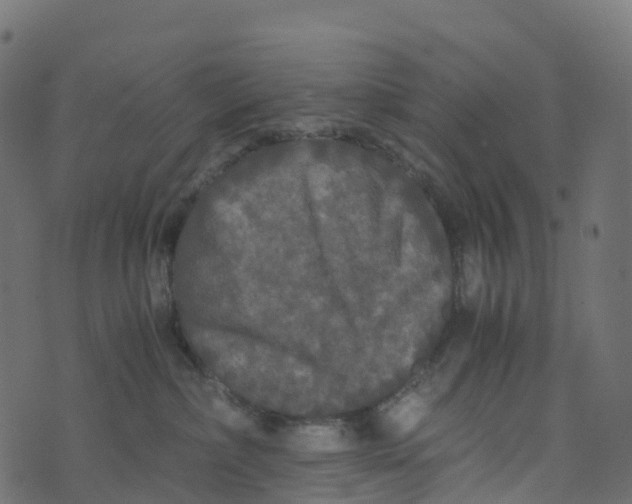 X0000073410236200608251533