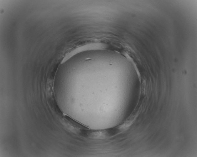 X0000073410237200608251533