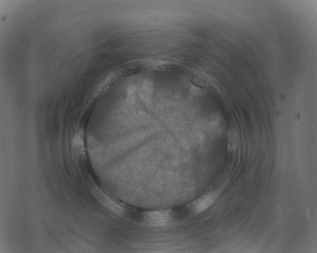 X0000073410238200608251533