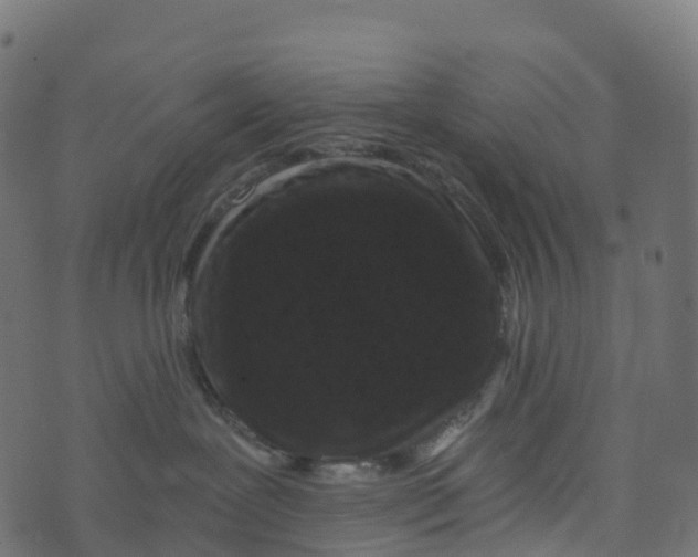 X0000073410239200608251533